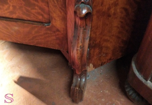 Vertiko geflammte Birke