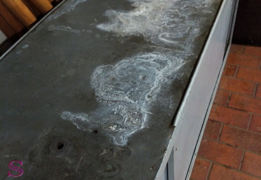 IMAGE b89d9150-5986-4f58-9d10-83d99cb2b798